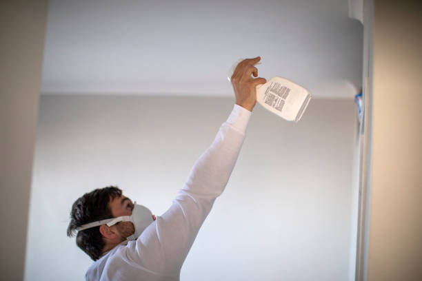 Best Emergency Mold Removal  in Union City, GA