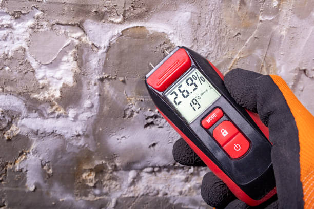 Best Commercial Mold Removal  in Union City, GA