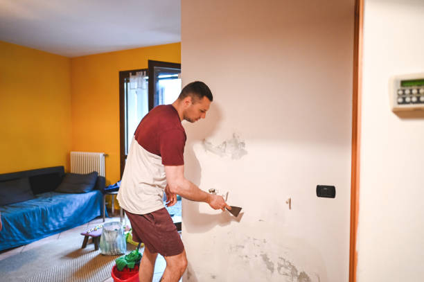 Best Local Mold Removal Service  in Union City, GA