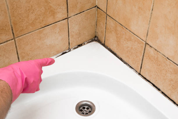 Mold Removal and Inspection in Union City, GA